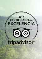 Certificate Of Excellence By TripAdvisor