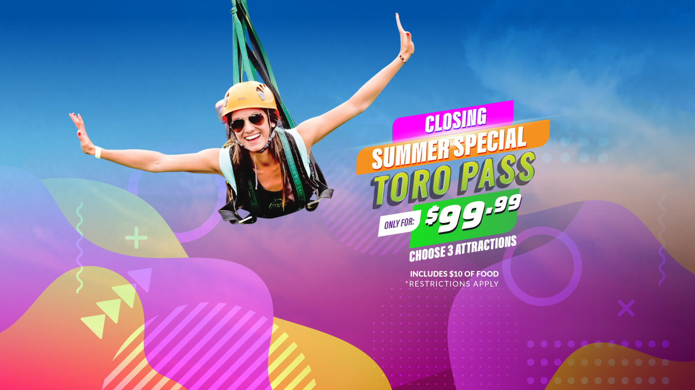 Home Toro Verde Eco Adventure Park Orocovis