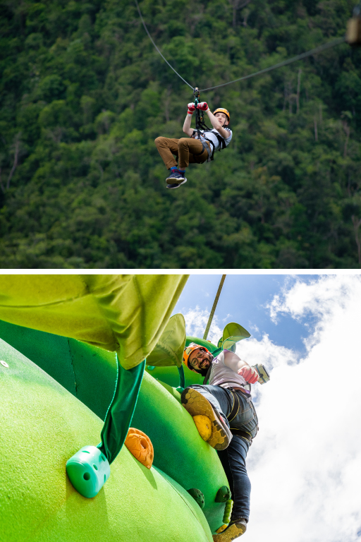 ZIPLINES / CLIMBING TOWERS