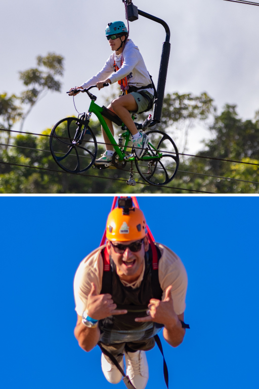 LA BESTIA / TOROBIKES